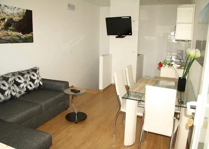 Didan * קאבטאט