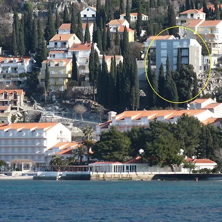 Didan 챠브타트